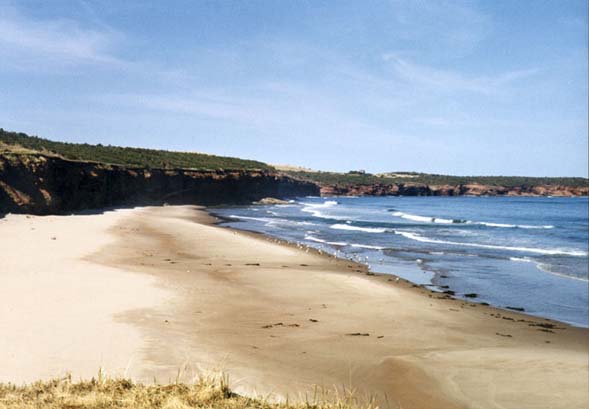 La plage de l'Ile Brion